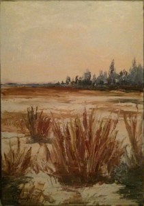 Marécage au printemps