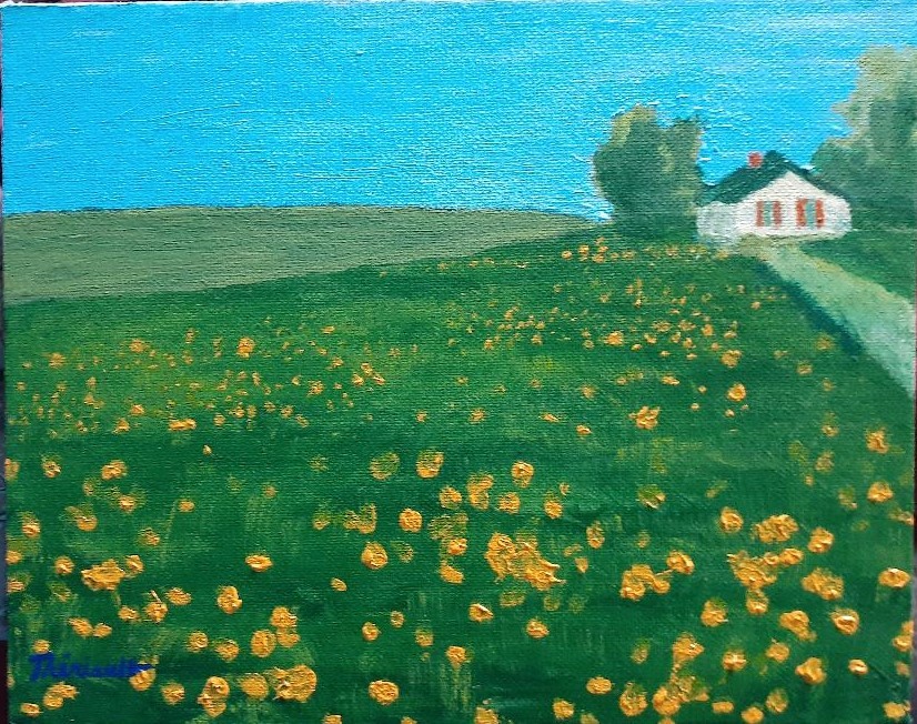 Champ de pissenlits -MT